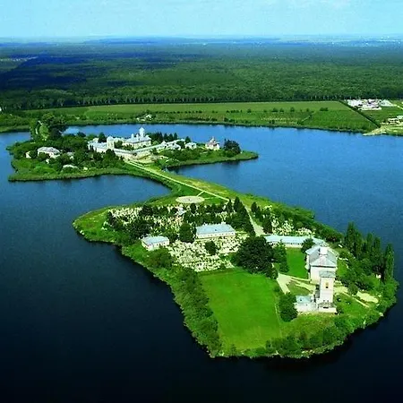Luxury Swan Lake
